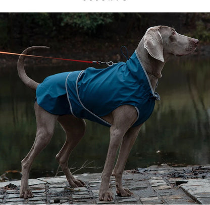 Pet clothing Pet dog raincoat Autumn and winter waterproof dog jacket Household large and medium-sized dogs wear pet coat