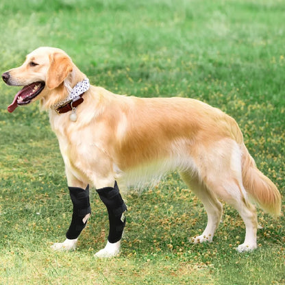 Leg Knee Pads for Dogs Recovery Bandage Anti-Lick Wound Dog Arthritis Auxiliary Fixed Joint Protector Dog Accessories