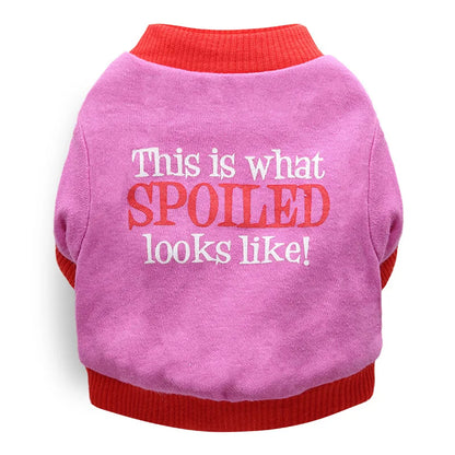 Halloween & Christmas Pet Clothes - Dog & Cat Winter Outfits for Small Breeds, Teddy, Siamese, Persian, Garfield & Blue Cats