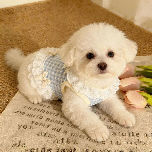 Summer Pet Lace Skirt Lightweight Cat And Dog Bow Lace Vest Thin Plingham Cute Princess Clothing Cat Dog Clothes Pet Supplie