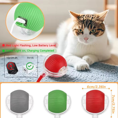 Hot cat toys are automatically teasing cat balls and self-exciting cat sticks and ticks and resistant to wear and bite pet toys