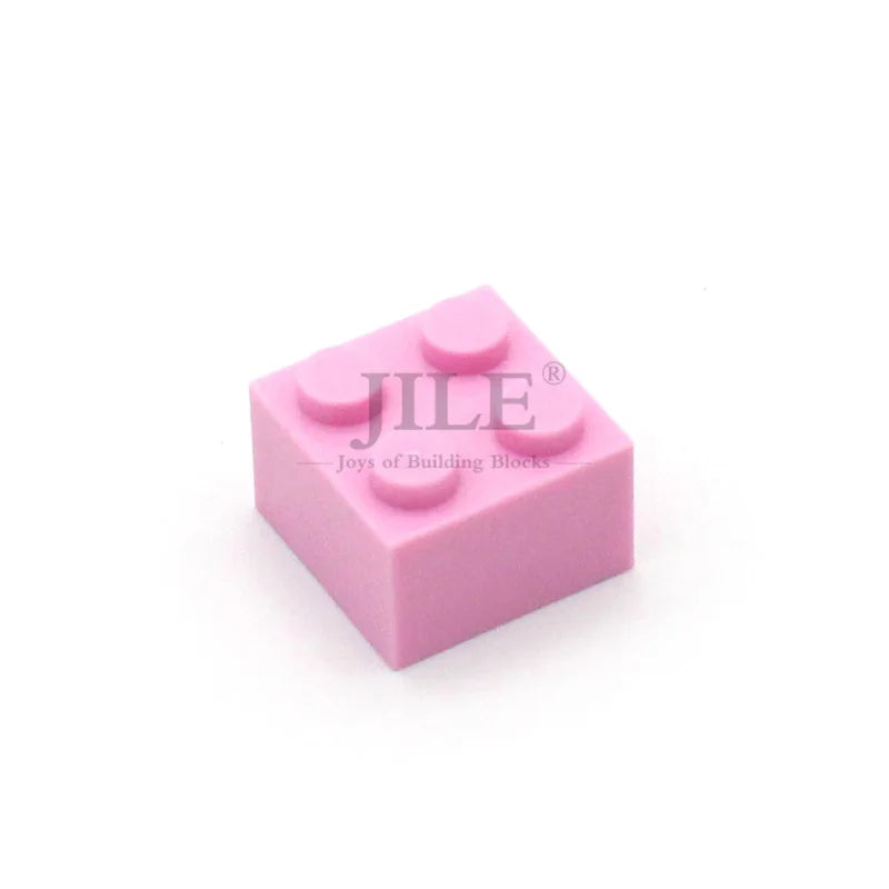 50pcs MOC Building Blocks Brick 2x2 3003 DIY Enlighten Creative Basics Classic Sets Compatible with Assembles Particles Toys