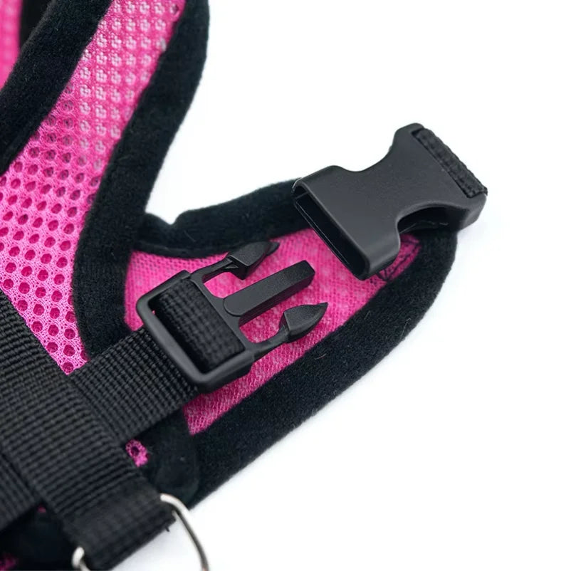 New style dog walking and cat chest strap outdoor traction rope explosion-proof and breathable chest back pet supplies