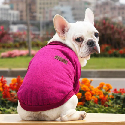 Cute Dog Clothes for Small Dogs Soft Pet Dog Sweater Clothing for Dog Winter Chihuahua Clothes Classic Pet Outfit Accessories