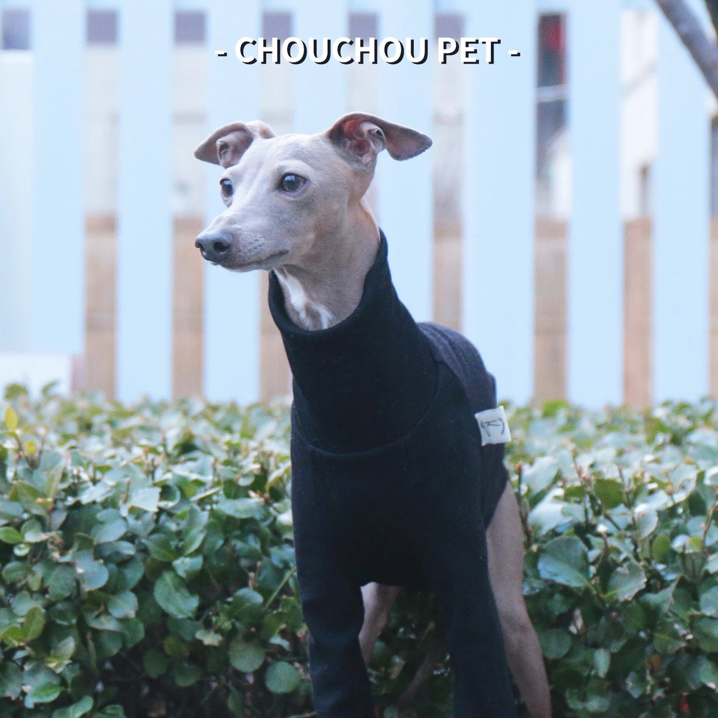 Italian Greyhound/Whippet Slim Fit Dog Clothing Turtleneck Stretch Pet Bottoming Shirt Black Premium Pet Clothing