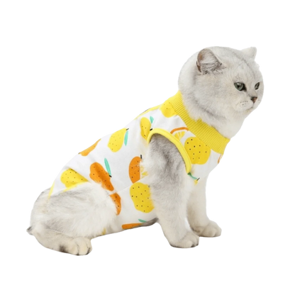 Fruit Printed Cat Recovery Clothing High Elasticity Breathable Pet Anti-Licking Vest Soft Comfortable Pet Weaning Suit