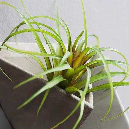 Wall Art Vases Aesthetic Decoration Home Vases Modern Room Design Figurines Jardiniere Ikebana Stem Holder Jardiniere Creative
