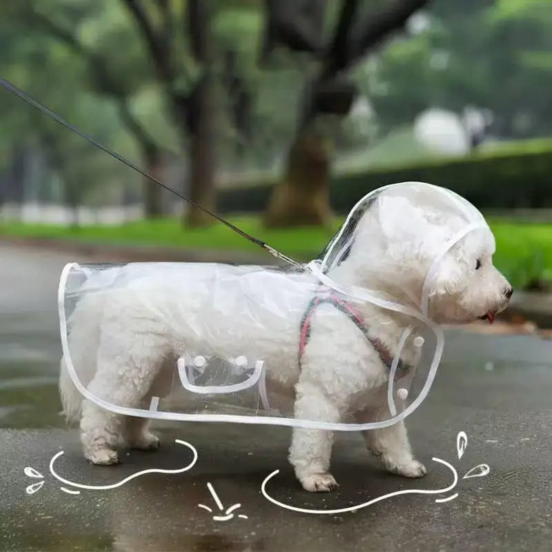 Pet Raincoat Transparent Dog Raincoat Waterproof And Windproof Pet Clothing Large Dog Pet Dog Dog Costume
