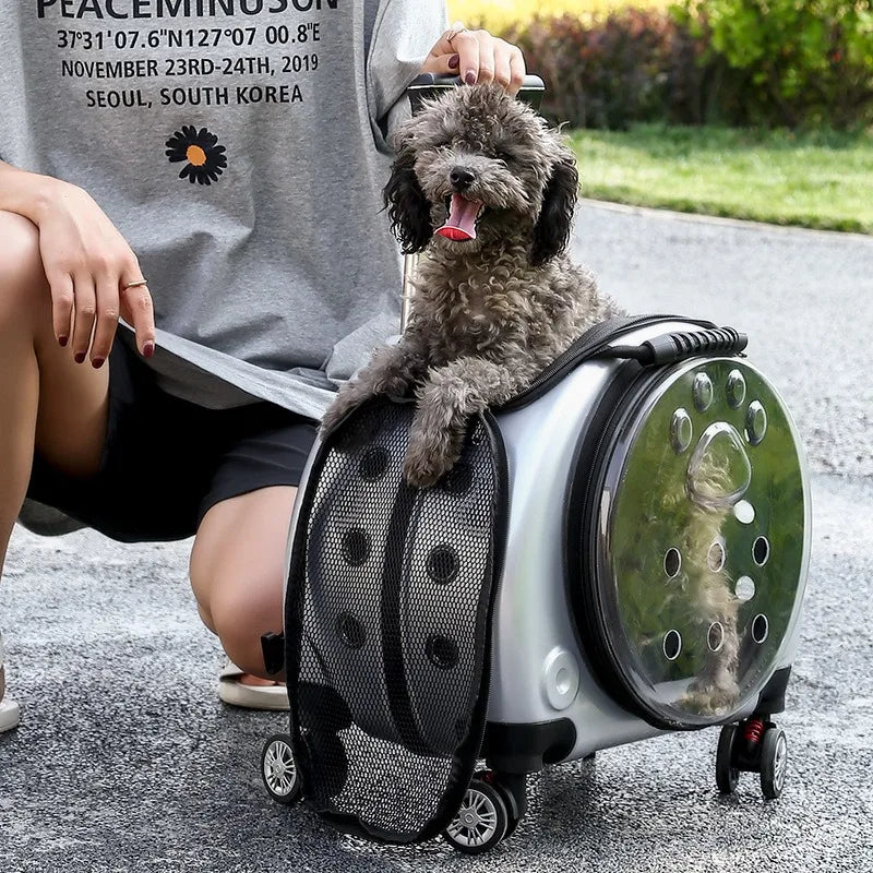 Small Pet Trolley Clear Shoulder Cat Bag Pack Breathable Crate for Journey Outside Portable Pet Products Supplies Carriers