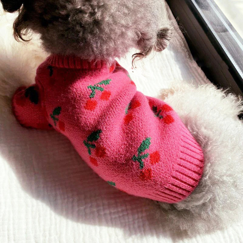 Luxury Dog Clothes for Girl Dog Pullover Knitwear Chihuahua Bichon Sweet Sweater Puppy Outfit Jacket Warm Winter Pet Clothing