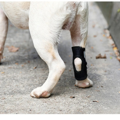 Updated Protects Bandage Dog Protector Cover Dog Leg Support Dogs Hock Joint Brace Pet Knee Pads Dogs Injury Recovery