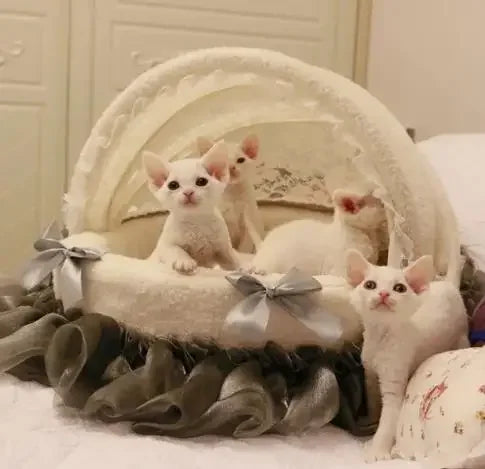 Pet Cradle Bed Dog'S Lace Nest For High-End Comfort Dog Bed Luxury Pet Bed