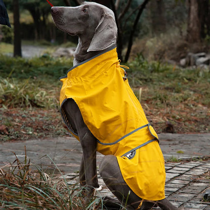 Pet clothing Pet dog raincoat Autumn and winter waterproof dog jacket Household large and medium-sized dogs wear pet coat