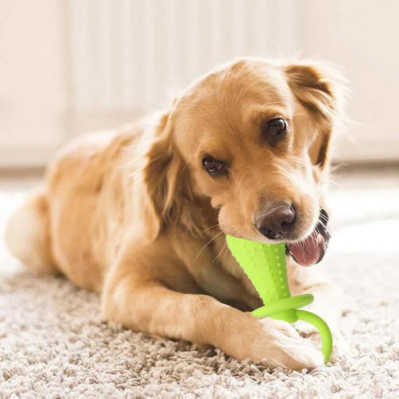 Toys For Small Dogs Indestructible Dog Toy Teeth Cleaning Chew Training Toys Pet Supplies