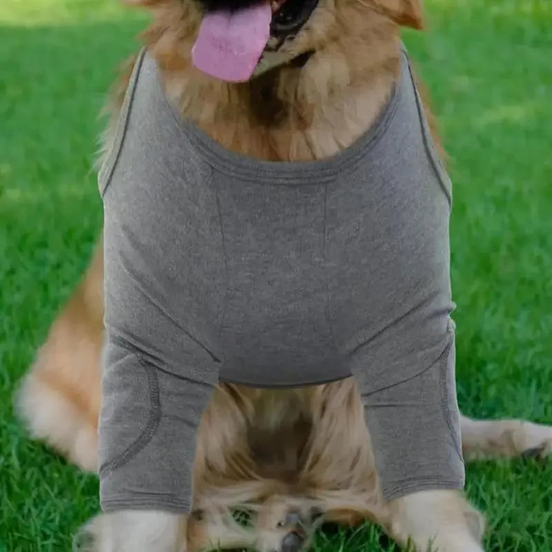 Dog Leg Sleeve To Stop Licking Dog Elbow Brace Front Legs Protective Sleeve Anti-lick Dog Knee Pads For Small Medium Large Dogs