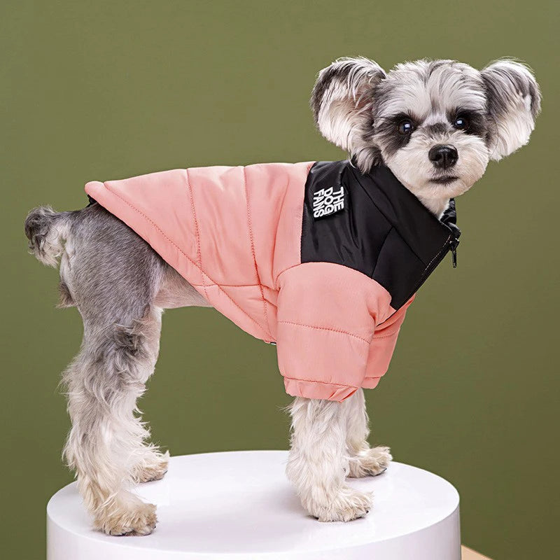 Fashion Pet Coat Clothes, Trendy Embroidered Dog Autumn and Winter Cotton Clothing, Pet Clothing, Thickened Warm Down Clothing
