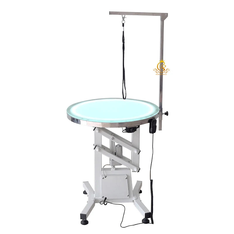Pet Electric Lift Grooming Table With Led Light Professional Grooming  Care Multifunctional Pet Grooming Table