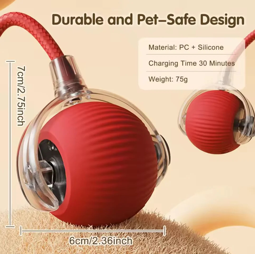 Hot cat toys are automatically teasing cat balls and self-exciting cat sticks and ticks and resistant to wear and bite pet toys