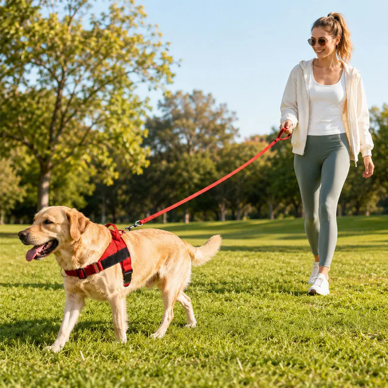 Anti-Pull Dog Chest Harness Adjustable Reflective Nylon Pupoy Vest with Dual D-Ring Breathable Mesh Walking Harness Pet Supplies
