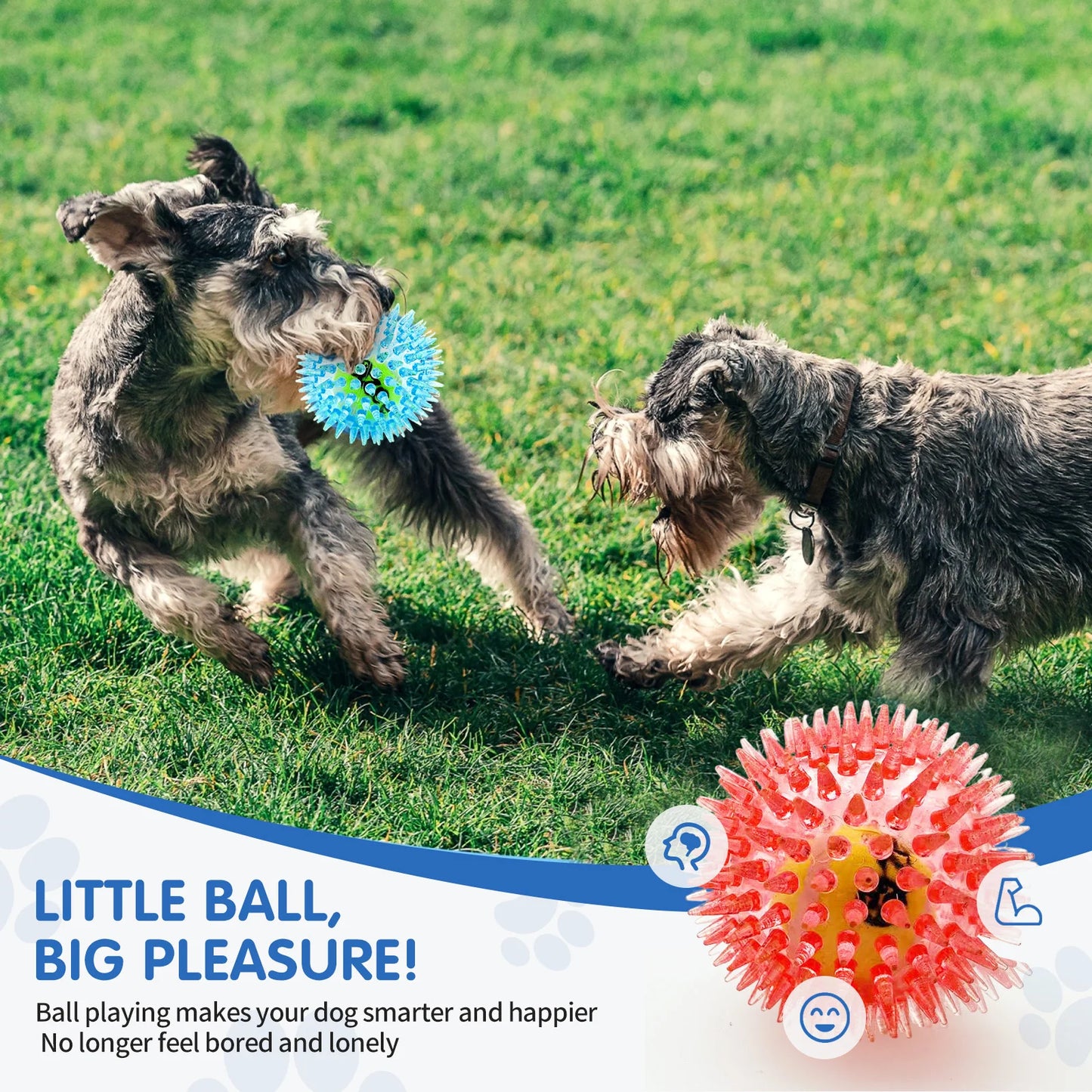 Pet Dog Toy, Rubber Tennis Ball, Prick Ball, Squeaking, Grinding Teeth, Relieving Boredom, Accompanying Various Dogs of All Size