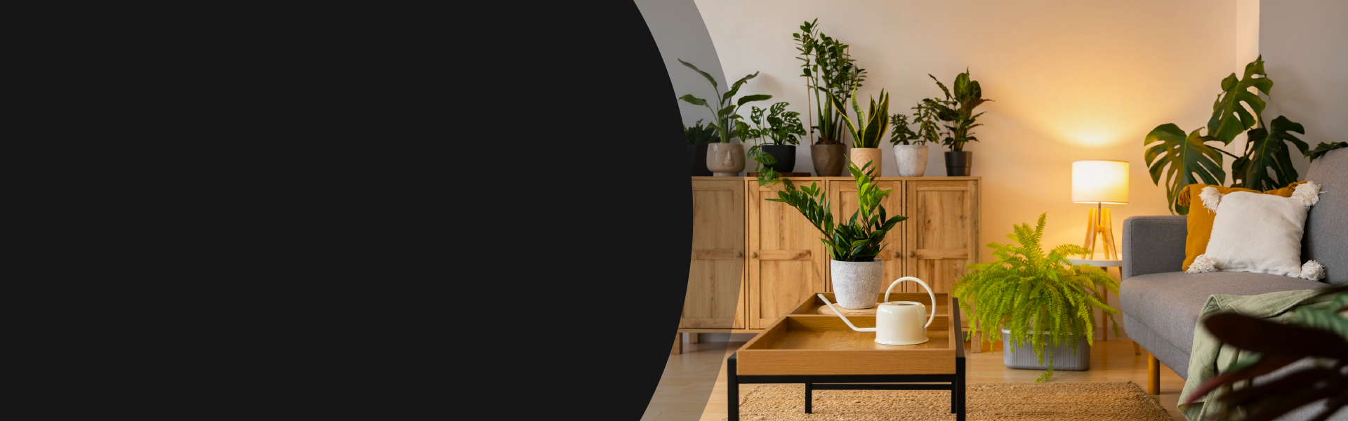 Everything Your Pet Loves