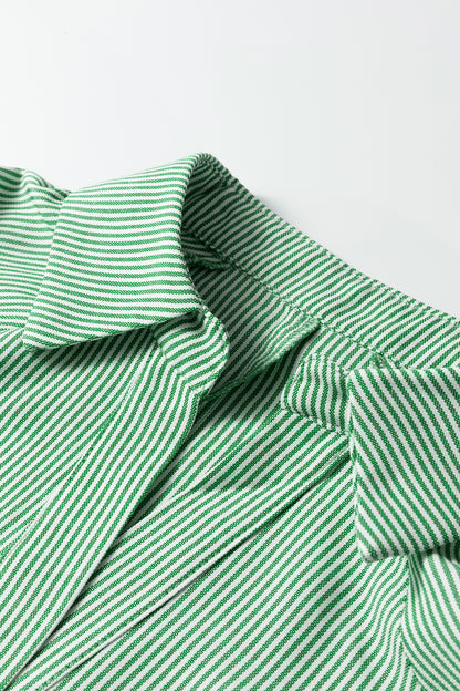 Mint Green Striped Print Collared Split Neck Half Sleeve Blouse