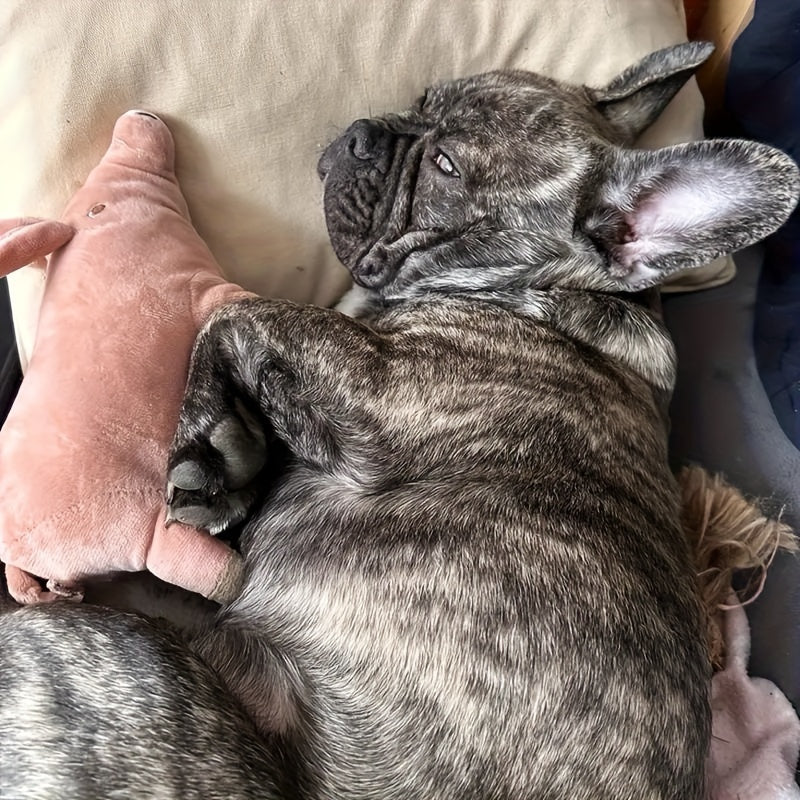 Pet Toys Teddy French Bulldog Estrus Vent Sleeping Pig Boredom Doll Teething Dog Supplies.Suitable for Small Sizes Durable Plush Dog Toy for Chewing And Playing, Suitable for Cats And Dogs, Suitable for All Breeds, Easter, Bi