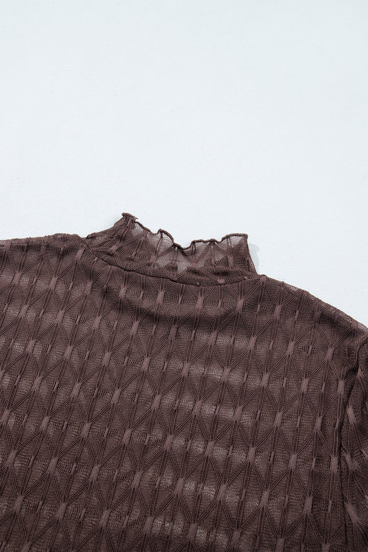 Chicory Coffee Sheer Textured Lace Stand Neck Long Sleeve Top
